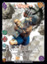 Sagat